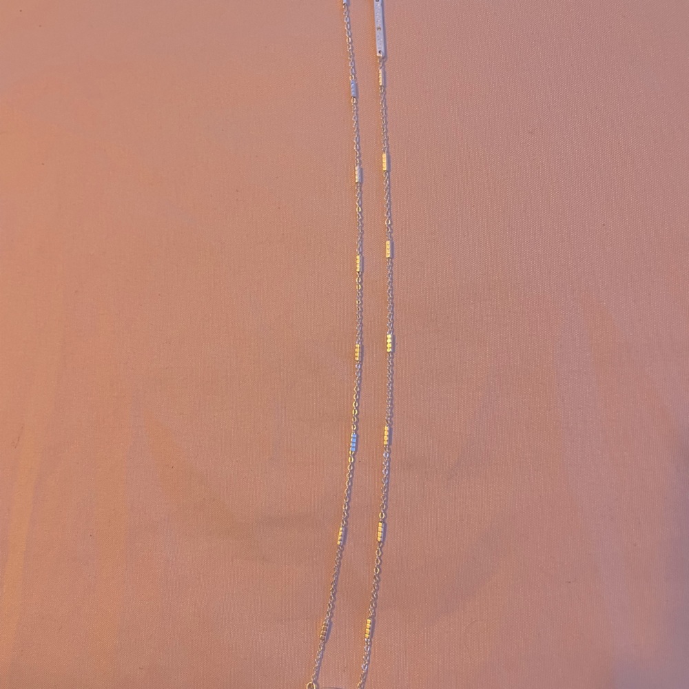 Kendra Scott bright silver necklace (only).